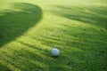 Golf ball on green grass sunset background Royalty Free Stock Photo