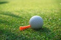 Golf ball on green grass sunset background Royalty Free Stock Photo