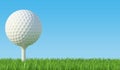 Golf ball on the green lawn Royalty Free Stock Photo