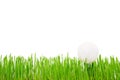 Golf ball on a green lawn on a white background