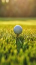 Golf Ball Hitting Closeup Tee Field Ratio Bending Down Slightly Visor Covering Top Face Flat Brush Strokes People Resting Grass Royalty Free Stock Photo