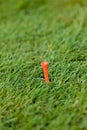 Golf ball and iron on green grass detail macro Royalty Free Stock Photo
