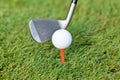 Golf ball and iron on green grass detail macro Royalty Free Stock Photo