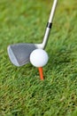 Golf ball and iron on green grass detail macro Royalty Free Stock Photo