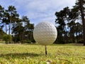 Golf ball in the nature Royalty Free Stock Photo