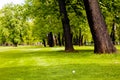 golf ball near the forest