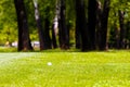 golf ball near the forest