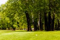 golf ball near the forest