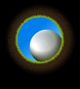 Golf ball. Royalty Free Stock Photo