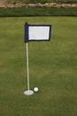 Golf ball near hole near putting green flag Royalty Free Stock Photo