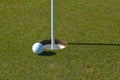 Golf ball next to cup Royalty Free Stock Photo