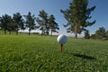 Golf ball on a orange tee Royalty Free Stock Photo