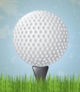 Golf Royalty Free Stock Photo