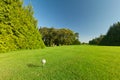 Golf ball on the perfect course Royalty Free Stock Photo