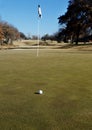 Golf ball and pin on a putting green