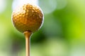 Golden golf ball is the world`s biggest sport Royalty Free Stock Photo