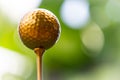 Golden golf ball is the world`s biggest sport Royalty Free Stock Photo