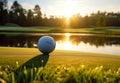 golf ball placed on the lush green fairway of a beautiful golf course on a sunny day. Royalty Free Stock Photo