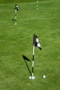 Golf ball on practice putting green next to hole and flag, sunny morning Royalty Free Stock Photo