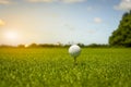 The golf ball put on green grass of golf course Royalty Free Stock Photo