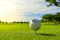 The golf ball put on green grass of golf course Royalty Free Stock Photo