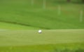 The golf ball put on green grass of golf course Royalty Free Stock Photo