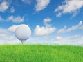 Golf ball put on green grass Royalty Free Stock Photo