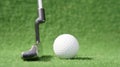 Golf ball and putter on green grass Royalty Free Stock Photo