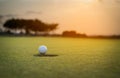 Golf ball putting on green grass near hole golf to win in game at golf course with blur background and sunlight ray Royalty Free Stock Photo