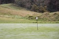 Golf ball on putting practice green