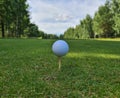 golf ball is ready to be thrown and is on tee Royalty Free Stock Photo