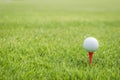 Golf ball on red tee start on green grass course lawn field park nature background with empty copy space Royalty Free Stock Photo
