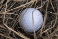 Golf ball in the rough Royalty Free Stock Photo