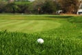 Golf ball in rough grass on fairway Royalty Free Stock Photo