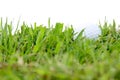Golf ball in rough grass Royalty Free Stock Photo