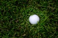Golf ball in rough grass Royalty Free Stock Photo