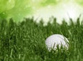 Golf Royalty Free Stock Photo