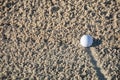 Golf Ball in the Sand Royalty Free Stock Photo