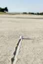 Golf ball in sand bunker Royalty Free Stock Photo