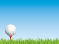 Golf ball with seamless grass