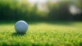 a golf ball sitting on the smooth, short-cropped grass of a putting green. The ball's texture and the precision of Royalty Free Stock Photo