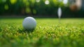 a golf ball sitting on the smooth, short-cropped grass of a putting green. The ball's texture and the precision of Royalty Free Stock Photo