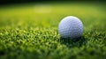 a golf ball sitting on the smooth, short-cropped grass of a putting green. The ball's texture and the precision of Royalty Free Stock Photo