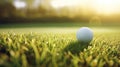 a golf ball sitting on the smooth, short-cropped grass of a putting green. The ball's texture and the precision of Royalty Free Stock Photo