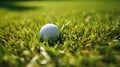 a golf ball sitting on the smooth, short-cropped grass of a putting green. The ball's texture and the precision of Royalty Free Stock Photo