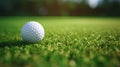 a golf ball sitting on the smooth, short-cropped grass of a putting green. The ball's texture and the precision of Royalty Free Stock Photo