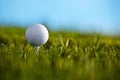 Golf ball sitting on tee with blue sky and grass b Royalty Free Stock Photo