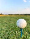 golf ball sitting on a golf tee Royalty Free Stock Photo
