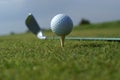 Golf ball in tall green grass against blue sky Royalty Free Stock Photo