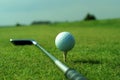 Golf ball in tall green grass set against blue sky Royalty Free Stock Photo